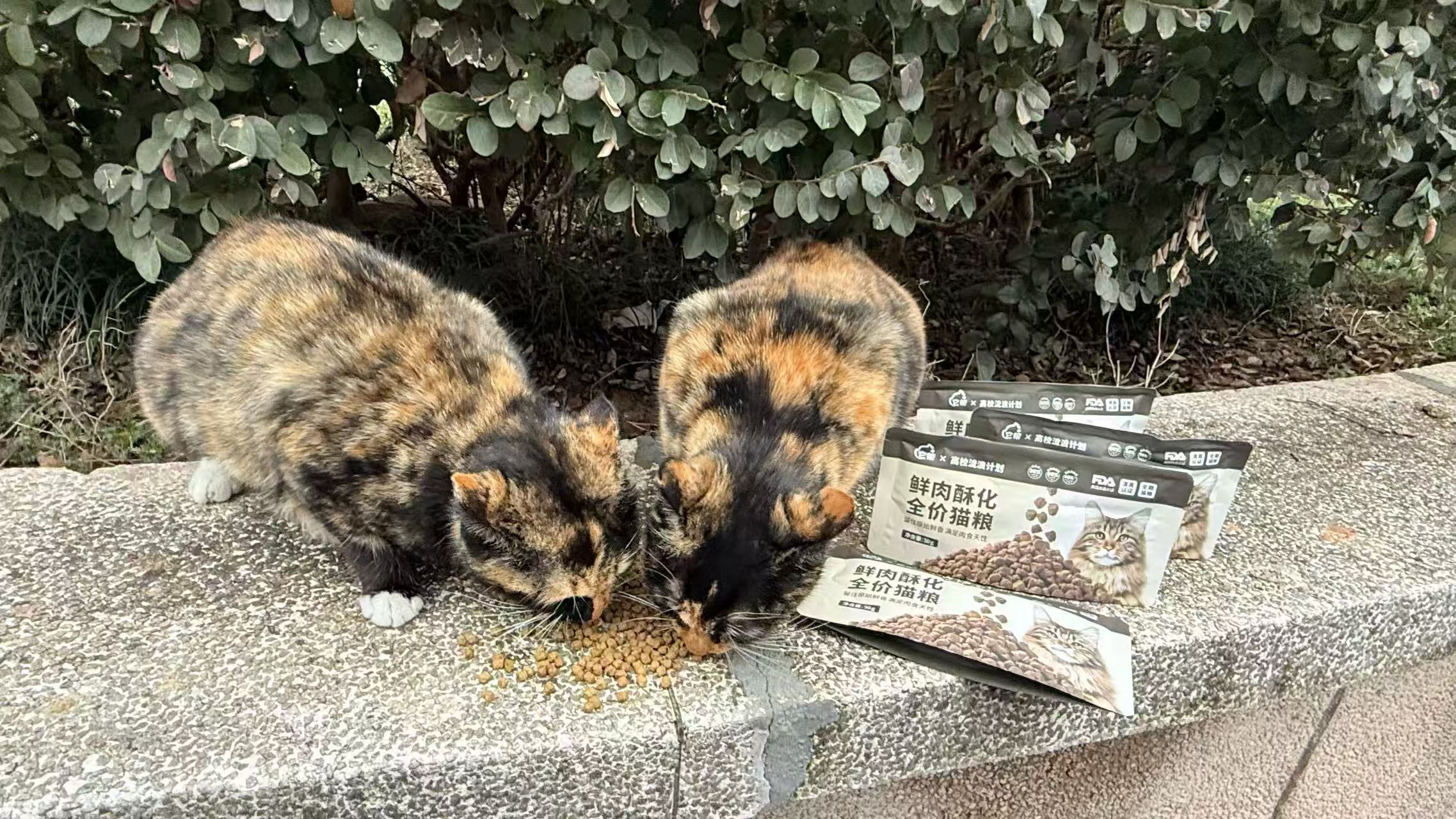 它帮公益主图